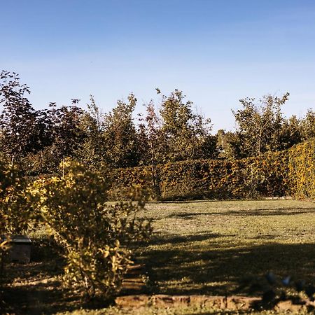 Villa Gramolina Nizza Nizza Monferrato Zewnętrze zdjęcie