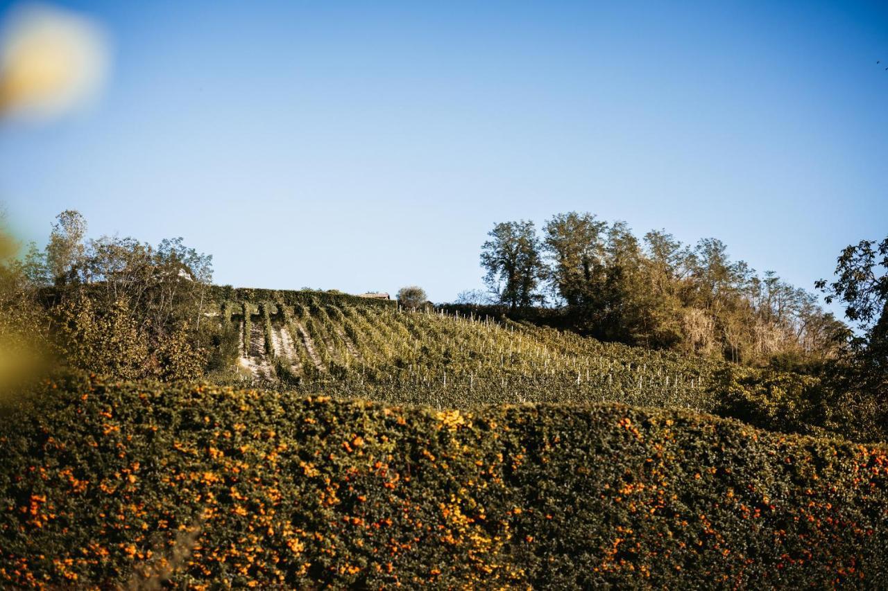 Villa Gramolina Nizza Nizza Monferrato Zewnętrze zdjęcie