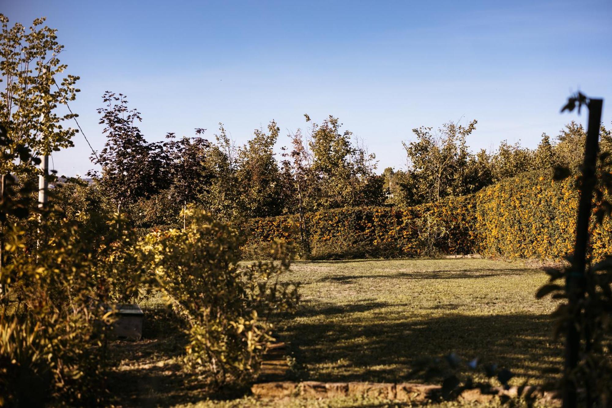 Villa Gramolina Nizza Nizza Monferrato Zewnętrze zdjęcie